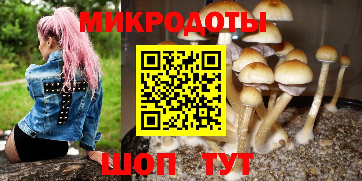 Галлюциногенные грибы мухоморы  Галлюциногенные грибы Psilocybe  Вход с VPN  Березники 