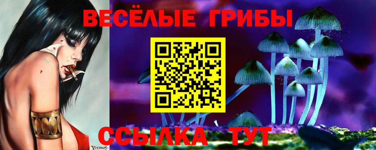 Псилоцибиновые грибы мицелий Березники
